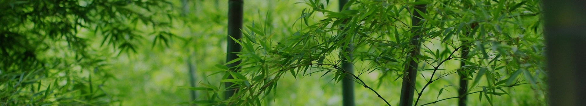 江蘇妙衛紙業有限公司